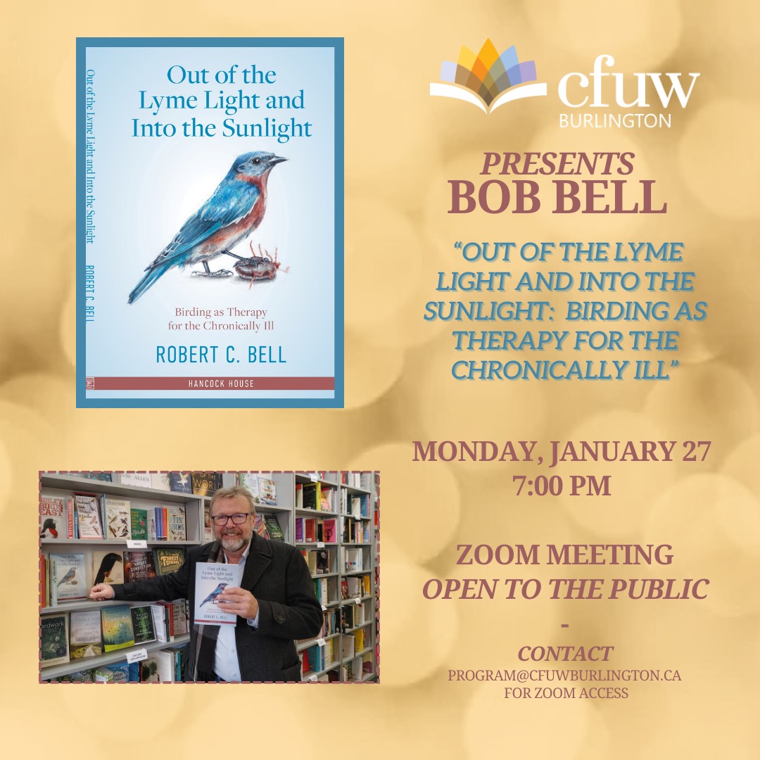 Bob Bel